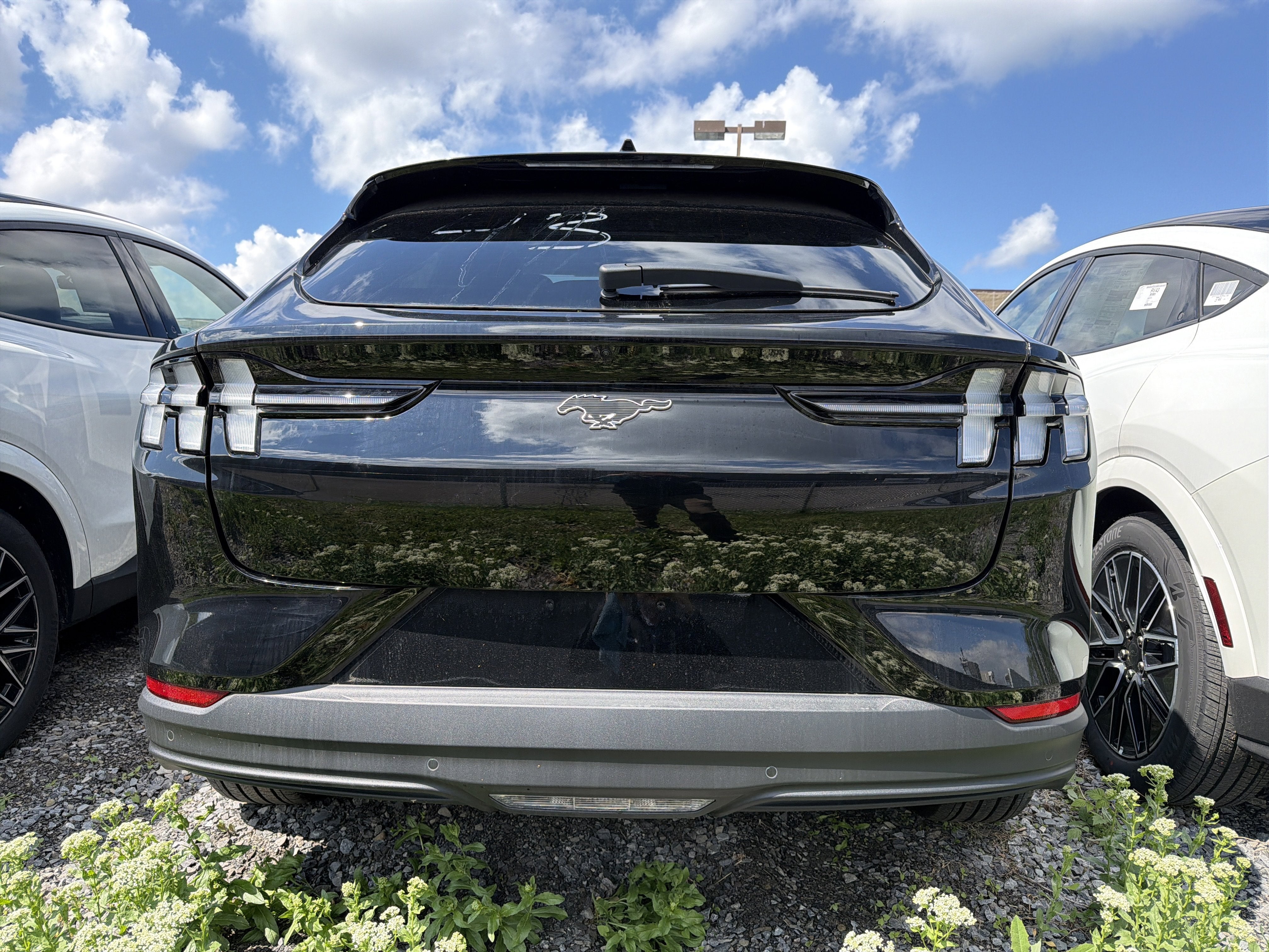 2026 Ford Mustang Mach-E Premium