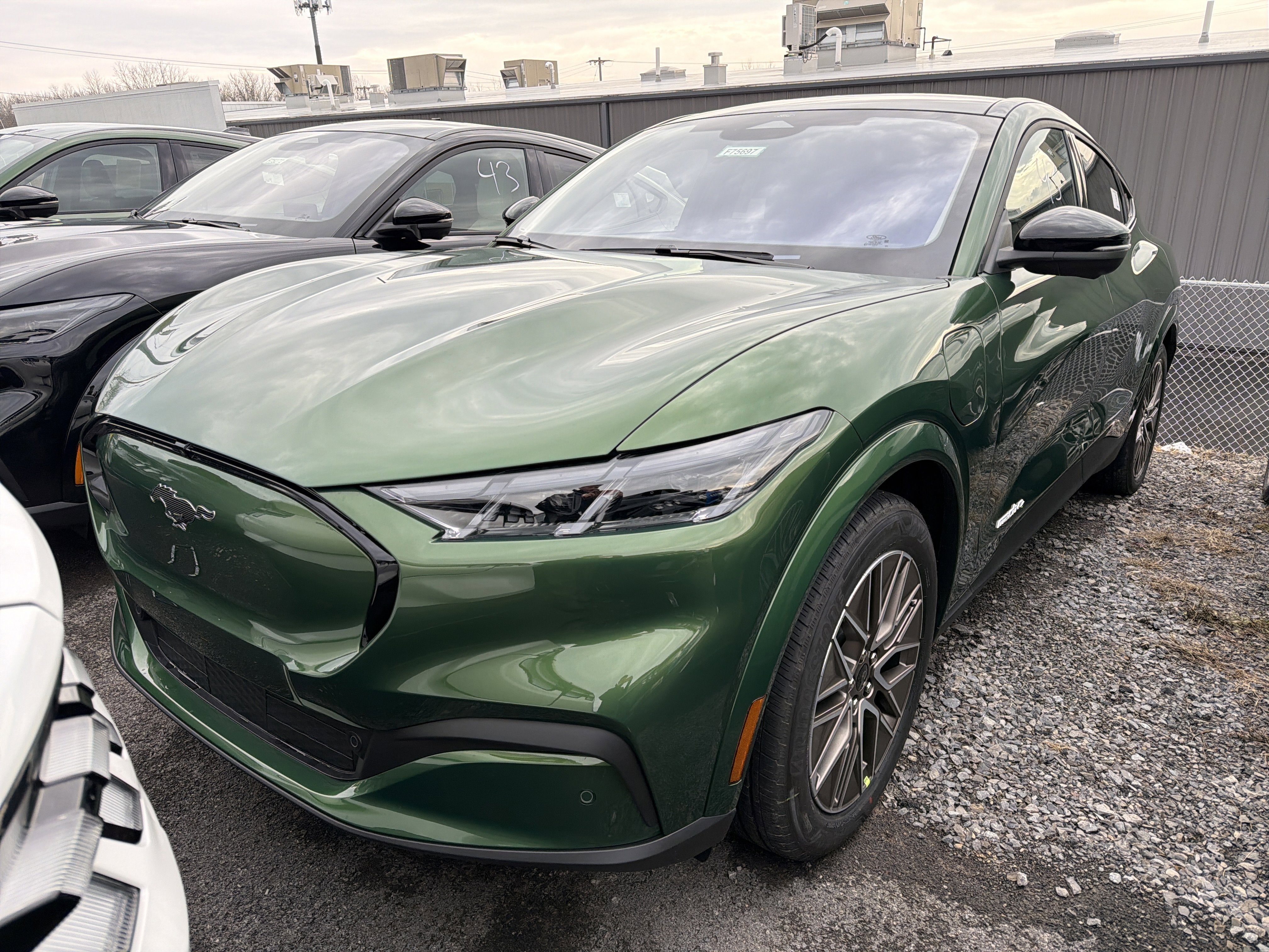 2025 Ford Mustang Mach-E Premium