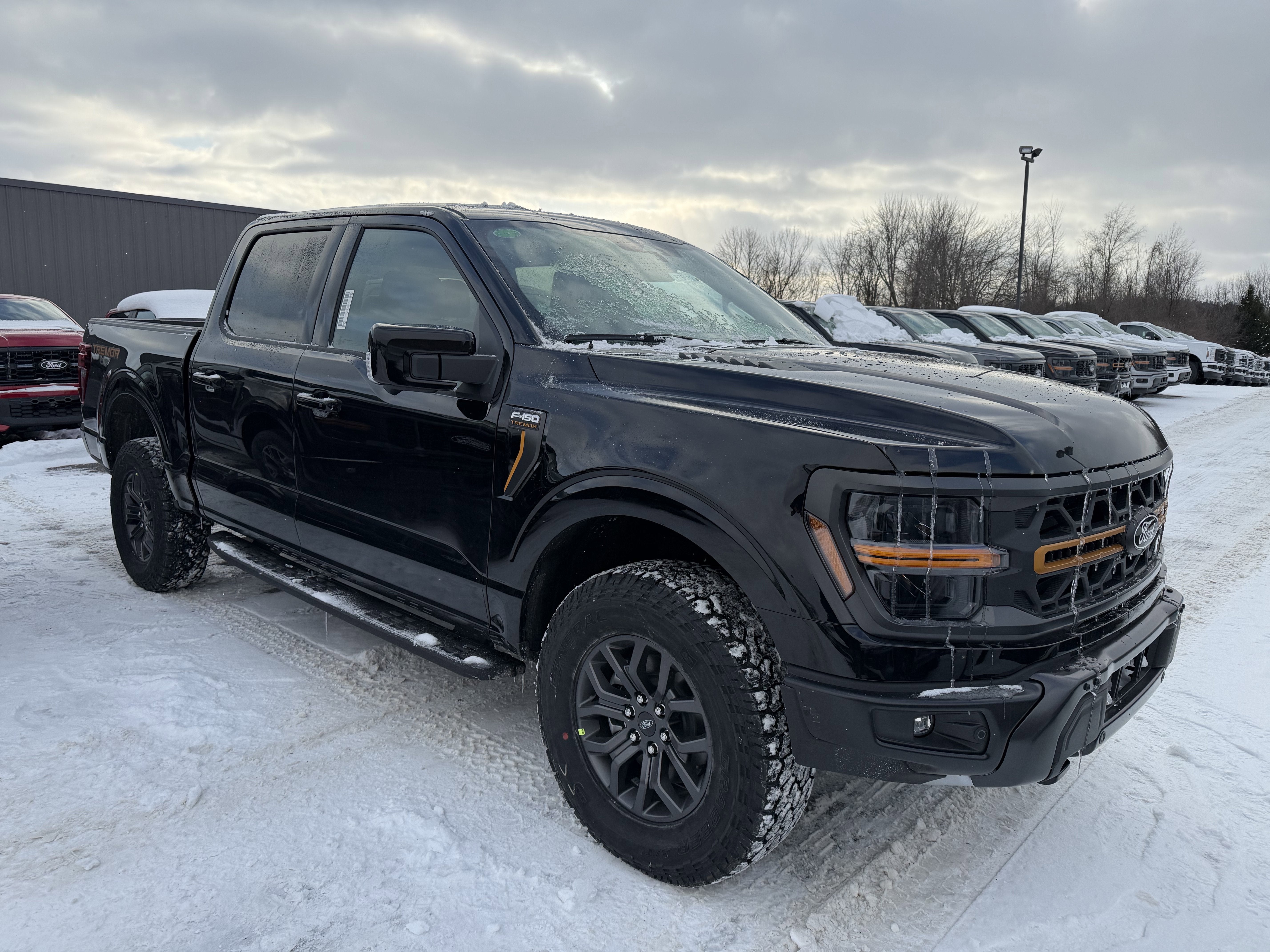 2025 Ford F-150 Tremor®